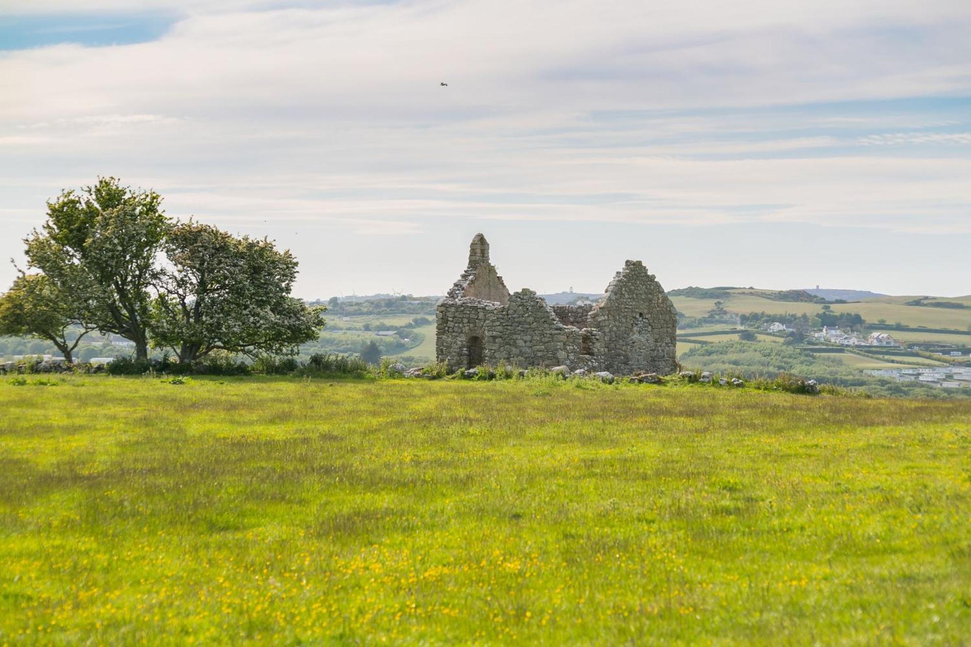 Plas Lligwy Cottage モイルブレ エクステリア 写真