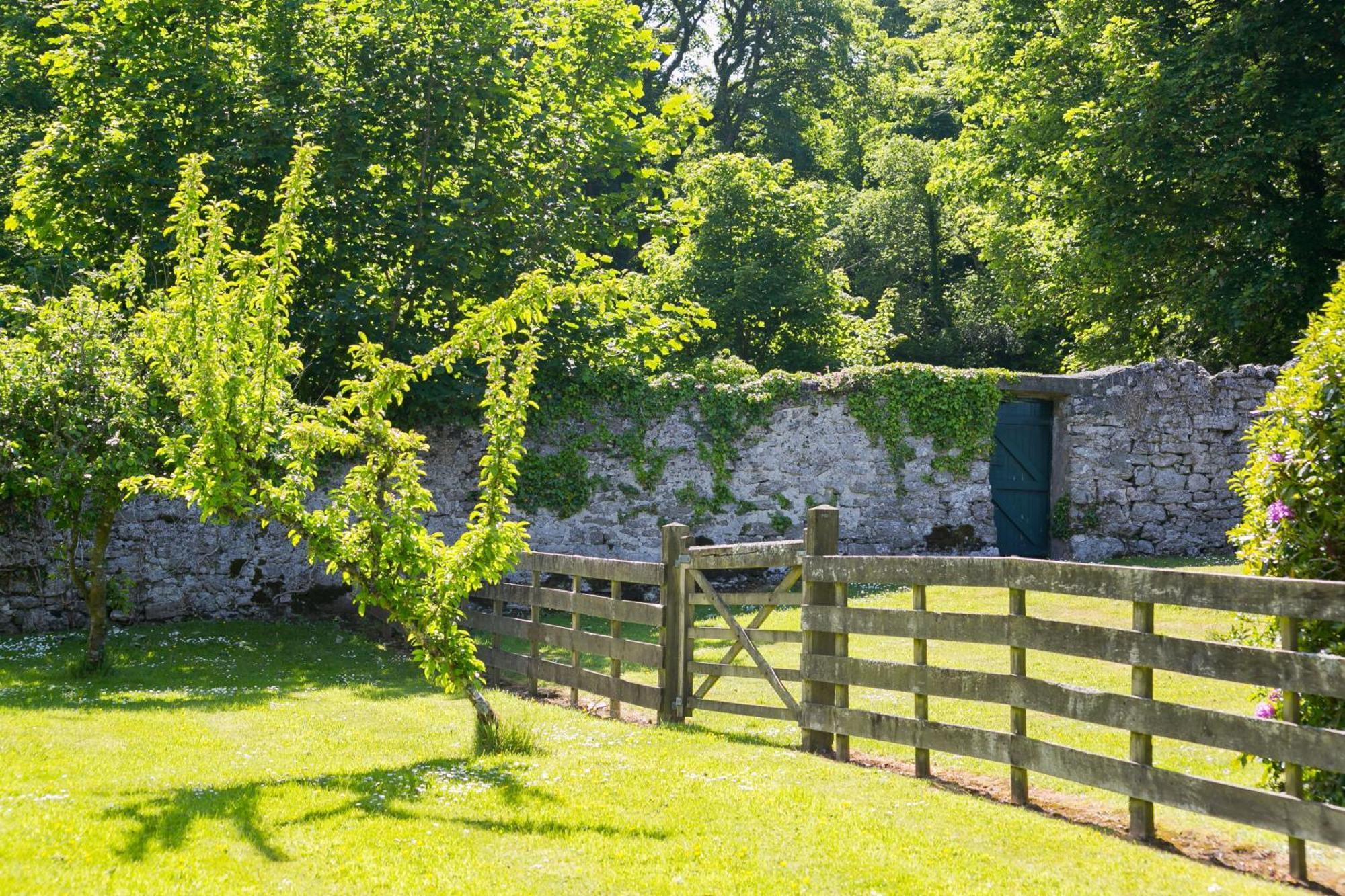 Plas Lligwy Cottage モイルブレ エクステリア 写真